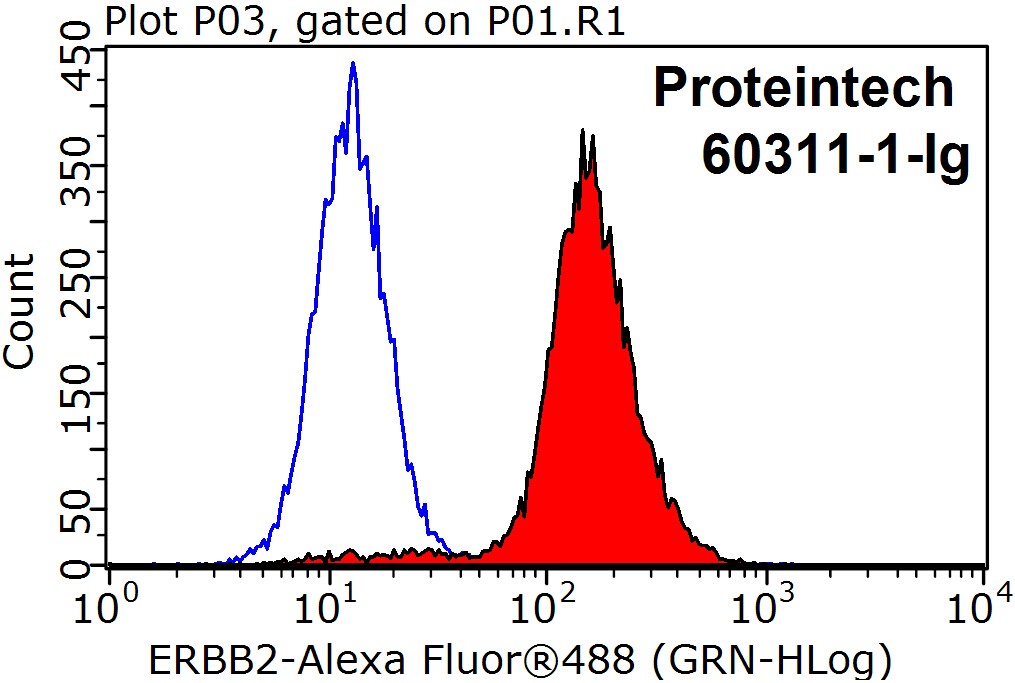 HER2/ErbB2 Monoclonal antibody