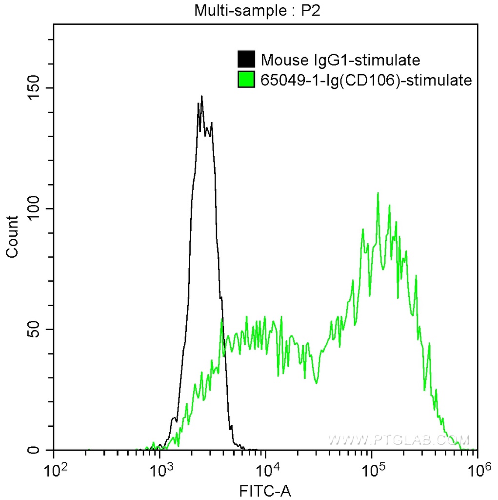 Anti-Human CD106 (1.G11B1)