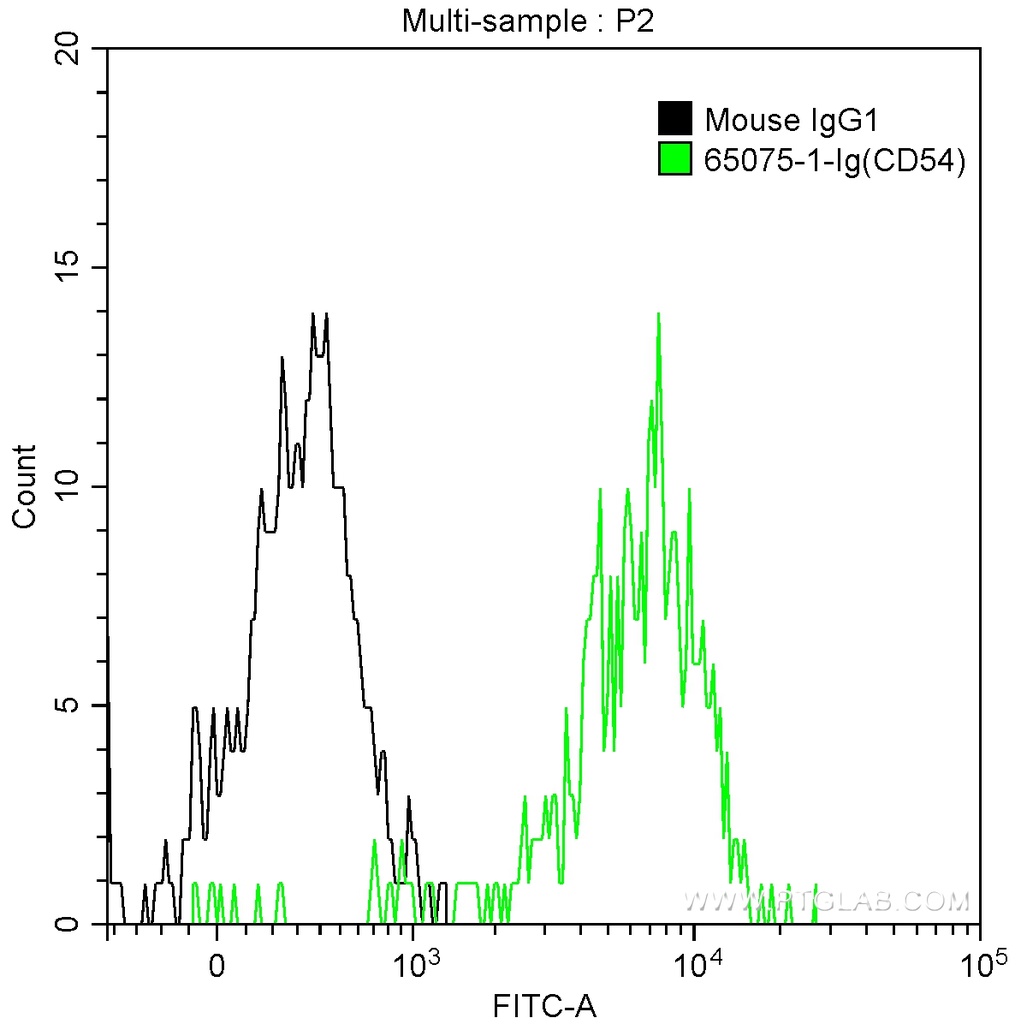 Anti-Human CD54 (ICAM-1) (15.2)