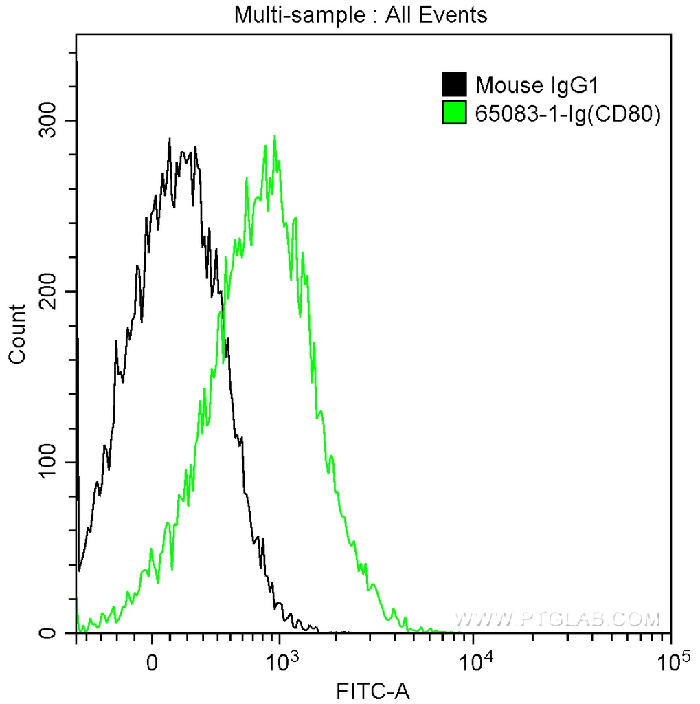 Anti-Human CD80 (B7-1) (2D10.4)