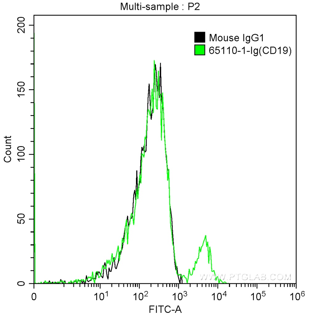 Anti-Human CD19 (HIB19)