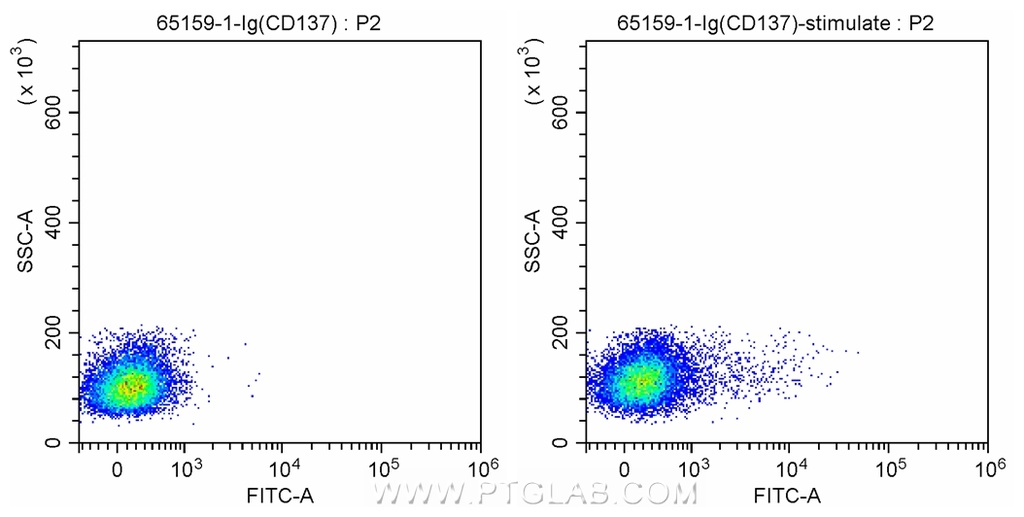 Anti-Human CD137 (4B4-1)