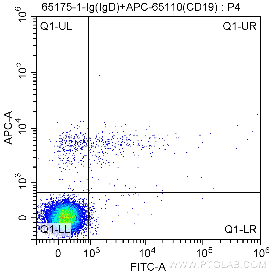 Anti-Human IgD (IA6-2)