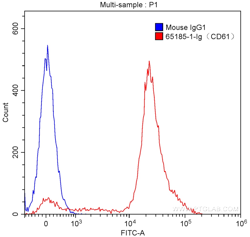 Anti-Human CD61 (VIPL2)