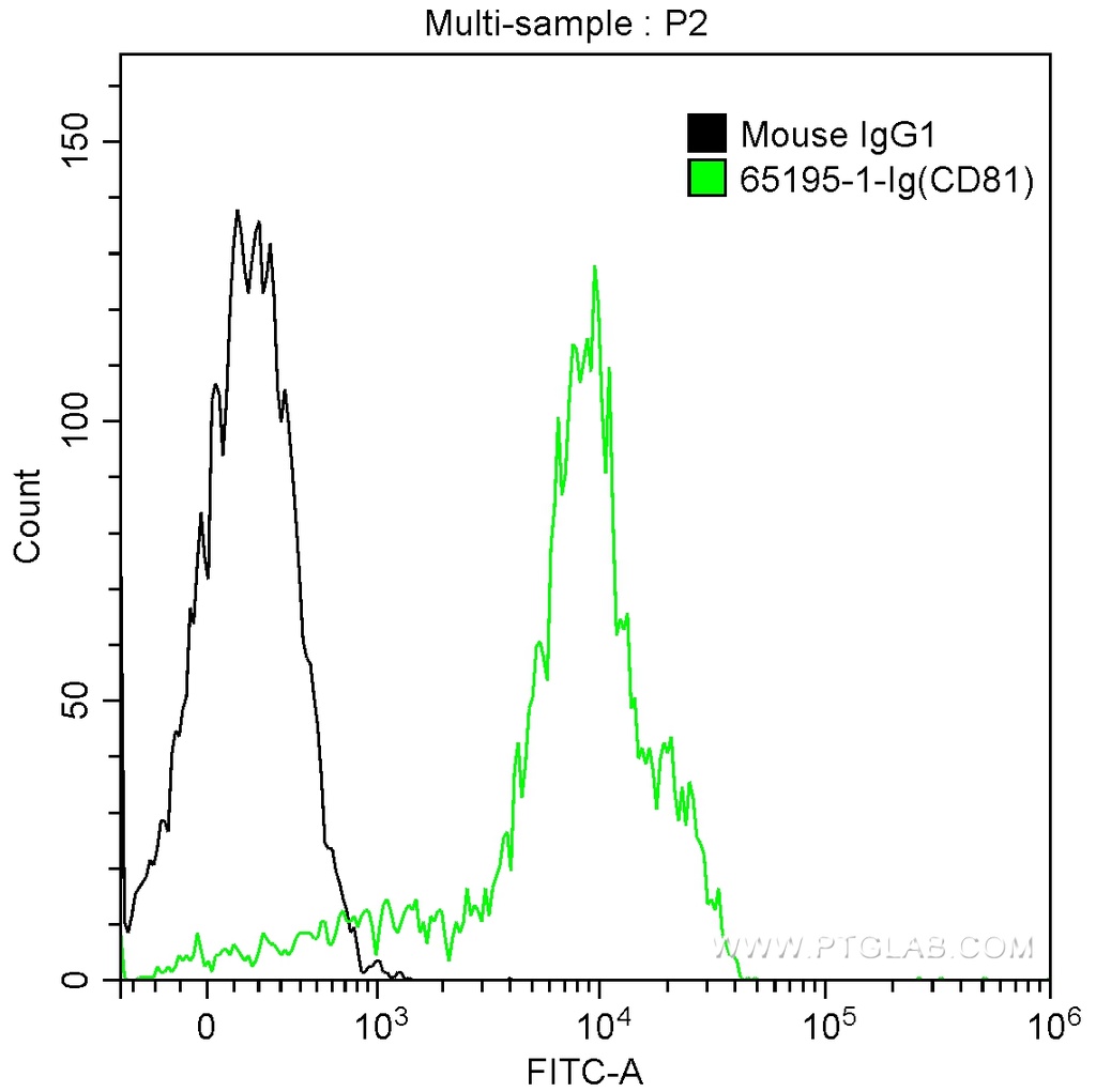 Anti-Human CD81 (5A6)