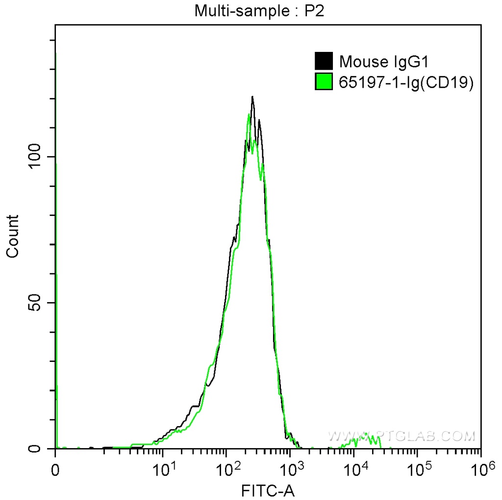 Anti-Human CD19 (4G7)