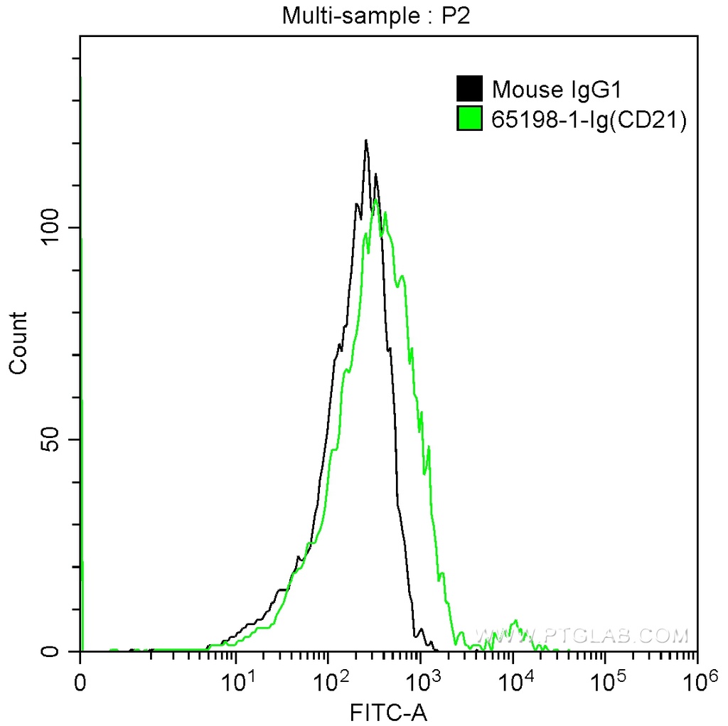 Anti-Human CD21  (BU32)