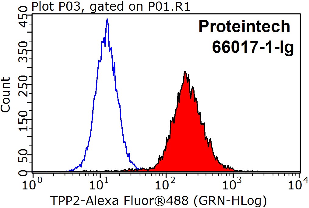 TPPII Monoclonal antibody