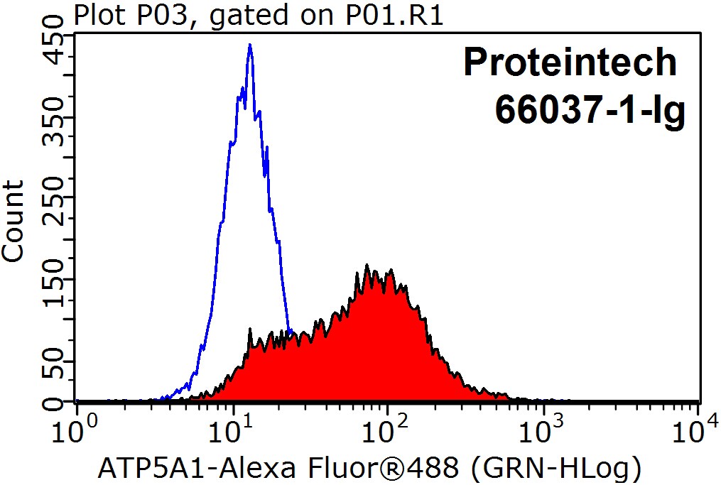ATP5A1 Monoclonal antibody