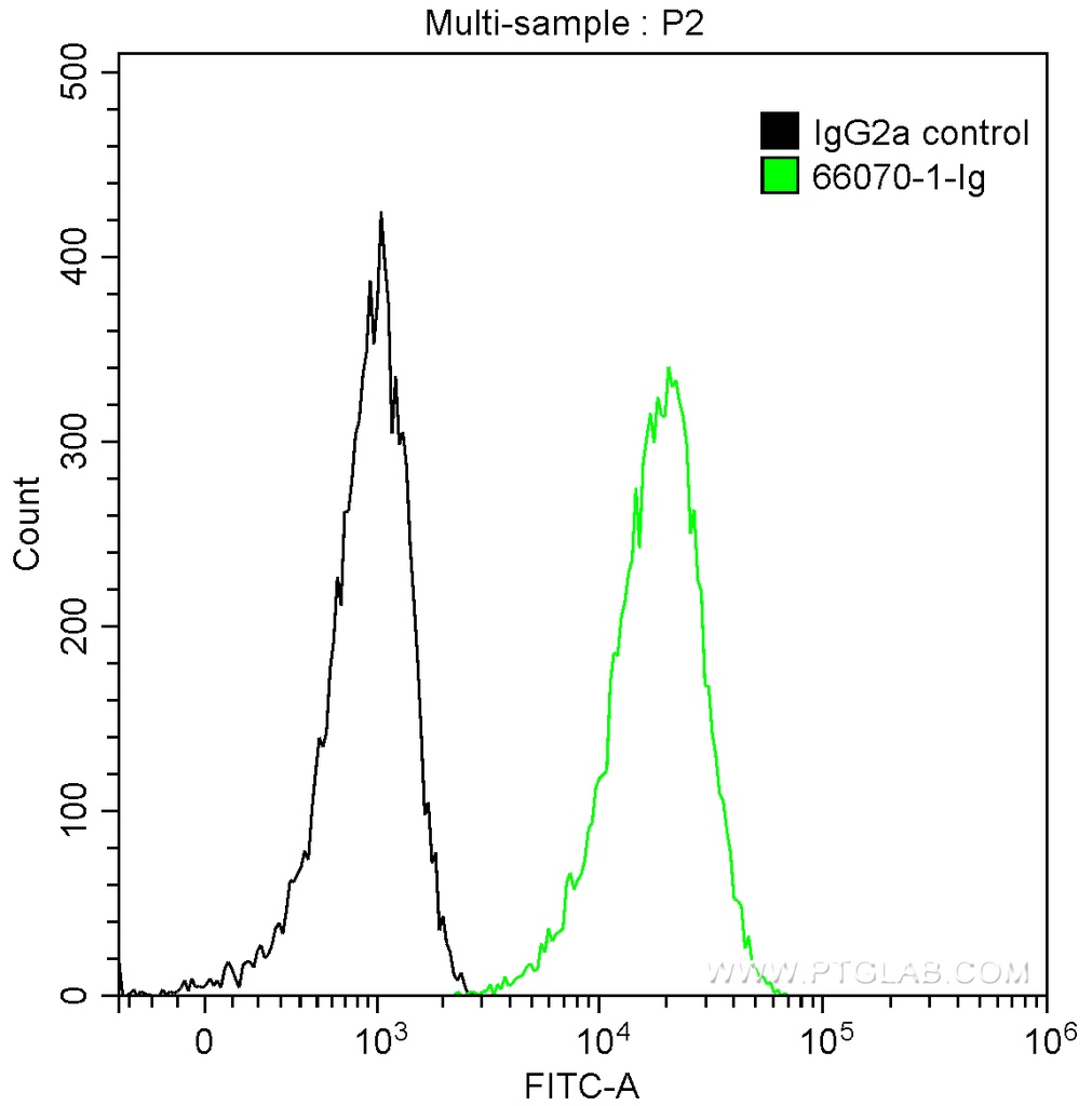 Integrin Alpha 3 Monoclonal antibody