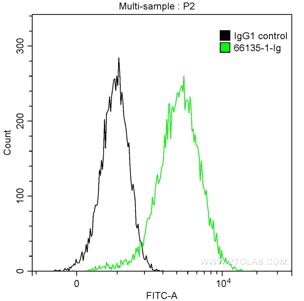 Alpha 1 Antitrypsin Monoclonal antibody