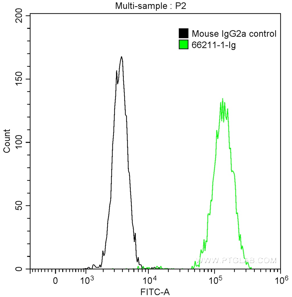CD13 Monoclonal antibody