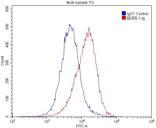 Vinculin Monoclonal antibody