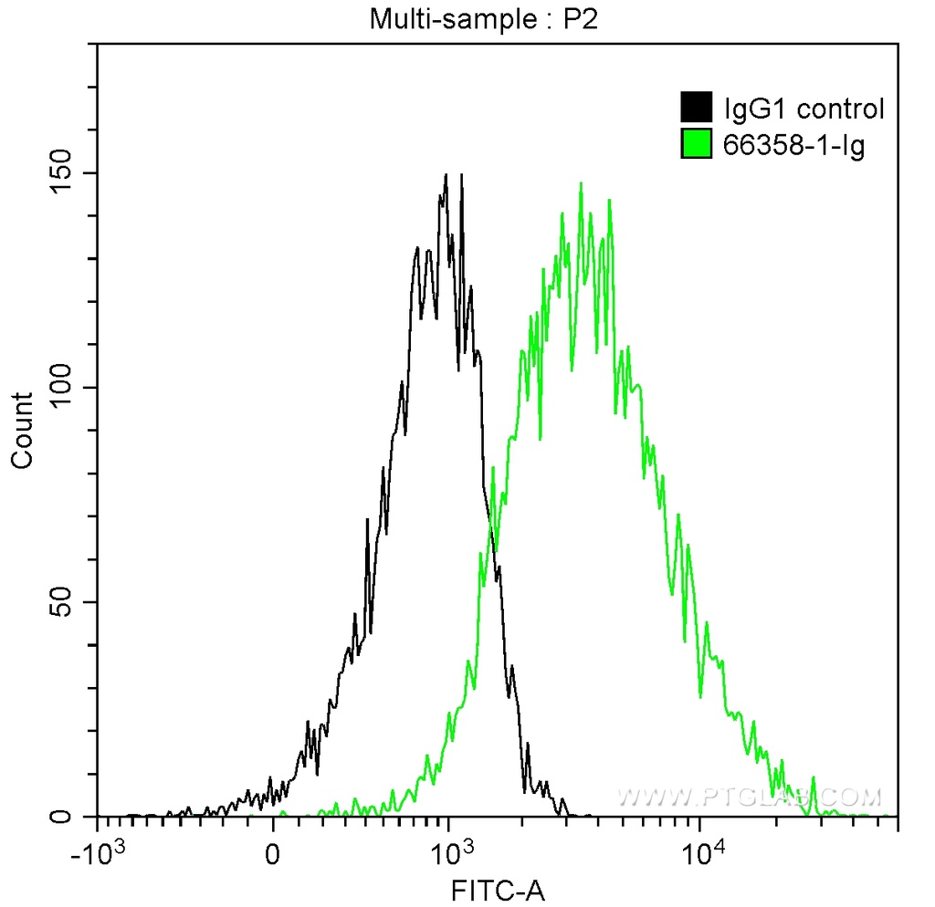 POMC Monoclonal antibody
