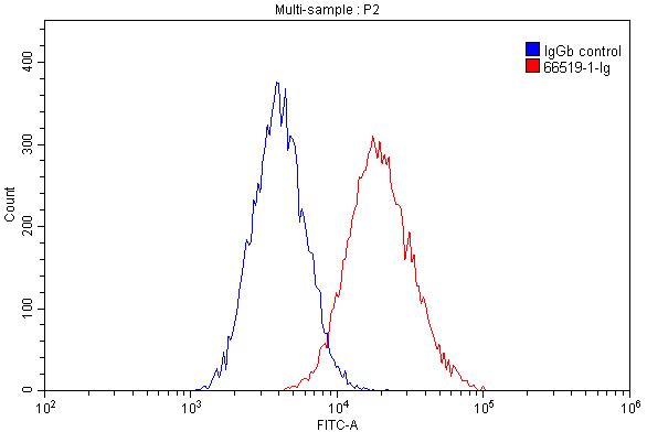 CD11B/Integrin Alpha M Monoclonal antibody