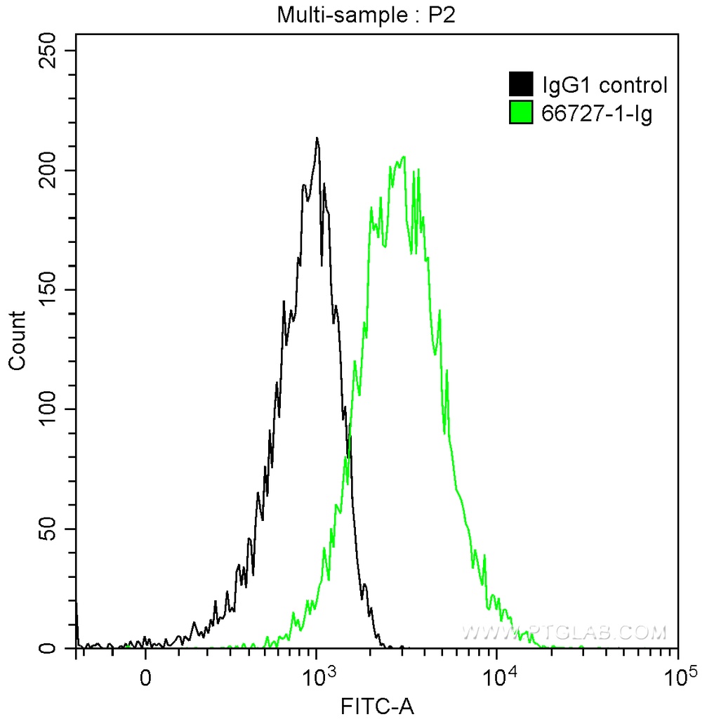 Cytokeratin 5 Monoclonal antibody
