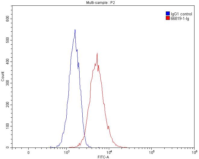 HLA-F Monoclonal antibody