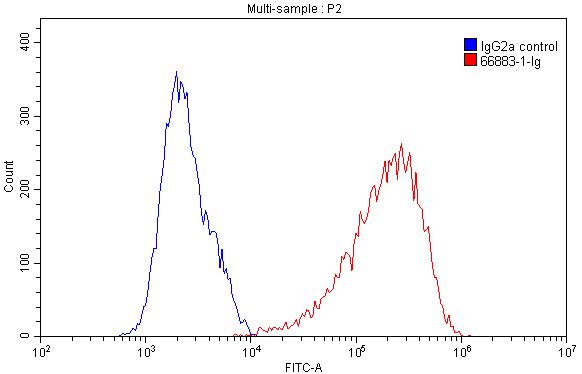CD98/SLC3A2 Monoclonal antibody