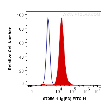 Tissue factor Monoclonal antibody
