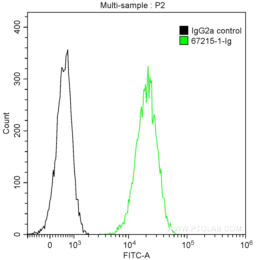 BCAR1 Monoclonal antibody