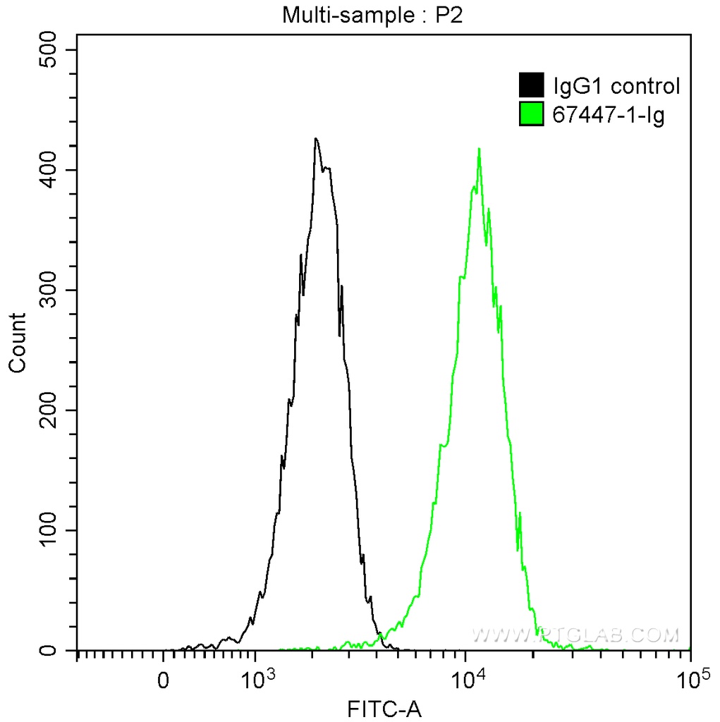c-MYC Monoclonal antibody