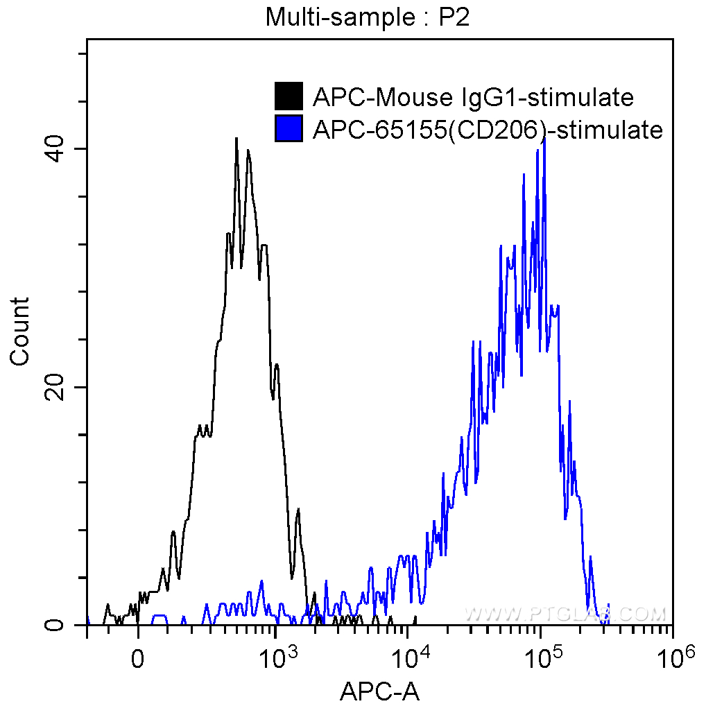 APC Anti-Human CD206 (15-2)
