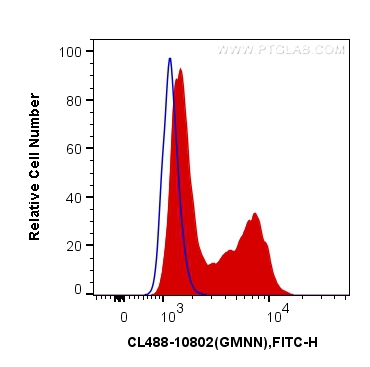 CoraLite®488-conjugated Geminin Polyclonal antibody