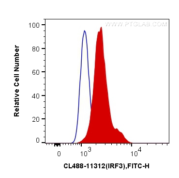 CoraLite®488-conjugated IRF3 Polyclonal antibody