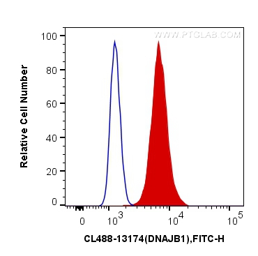 CoraLite®488-conjugated DNAJB1 Polyclonal antibody