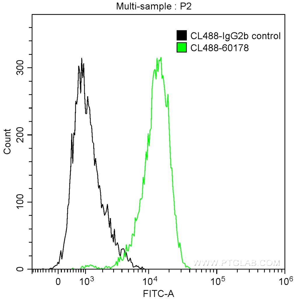 CoraLite®488-conjugated BCL2 Monoclonal antibody