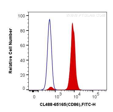 CoraLite®488 Anti-Human CD86 (BU63)