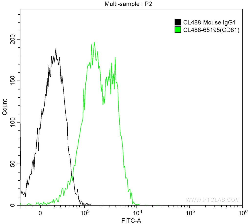CoraLite®488 Anti-Human CD81 (5A6)