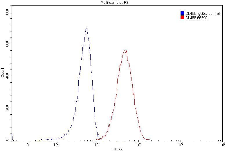 CoraLite®488-conjugated CD74 Monoclonal antibody