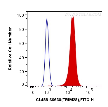 CoraLite®488-conjugated KAP1 Monoclonal antibody