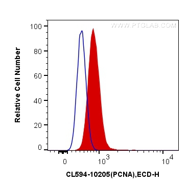 CoraLite®594-conjugated PCNA Polyclonal antibody