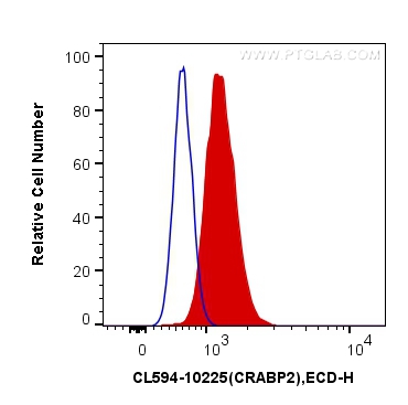 CoraLite®594-conjugated CRABP2 Polyclonal antibody