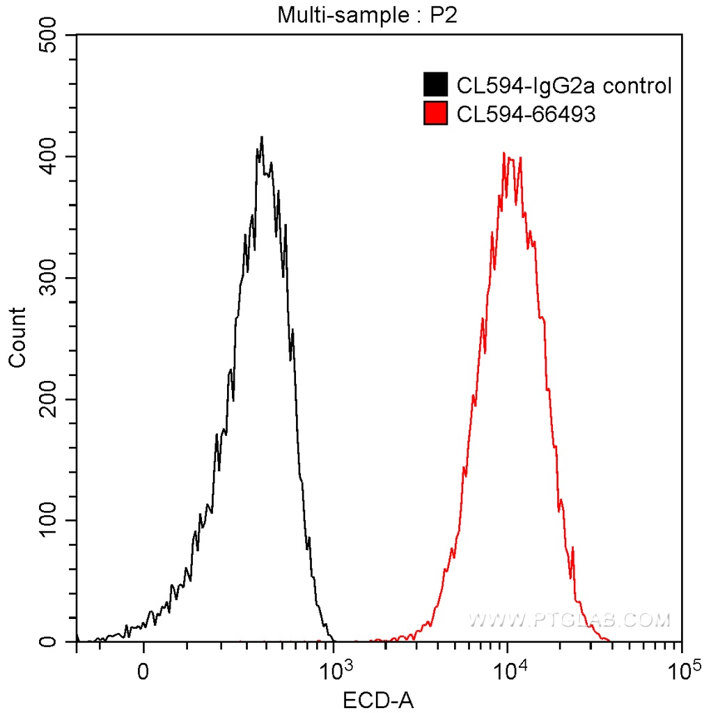 CoraLite®594-conjugated PKC Iota Monoclonal antibody