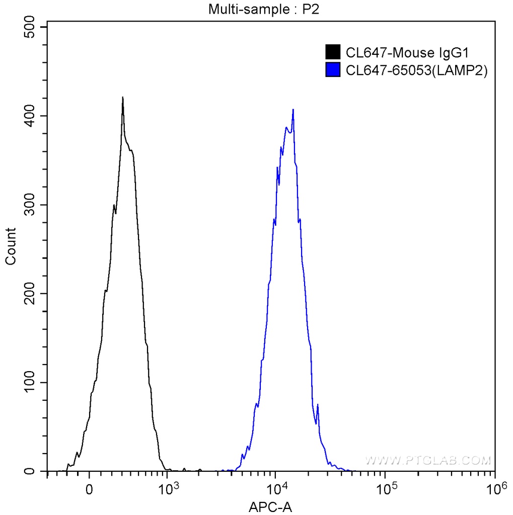 CoraLite®647 Anti-Human CD107b (H4B4)