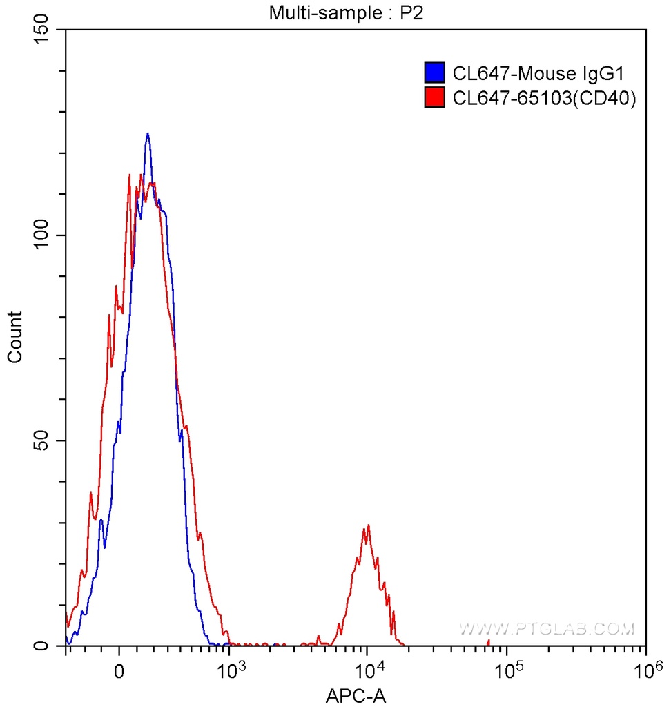 CoraLite®647 Anti-Human CD40 (G28.5)