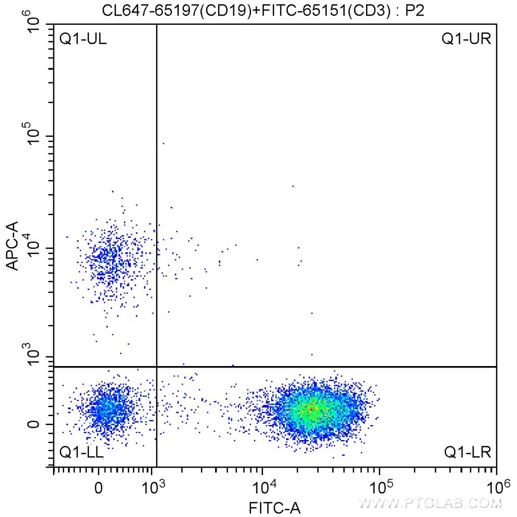CoraLite®647 Anti-Human CD19 (4G7)