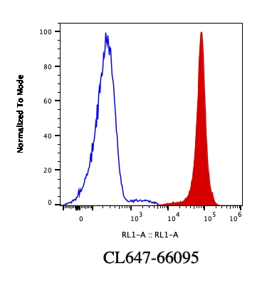 CoraLite®647-conjugated Lamin B1 Monoclonal antibody