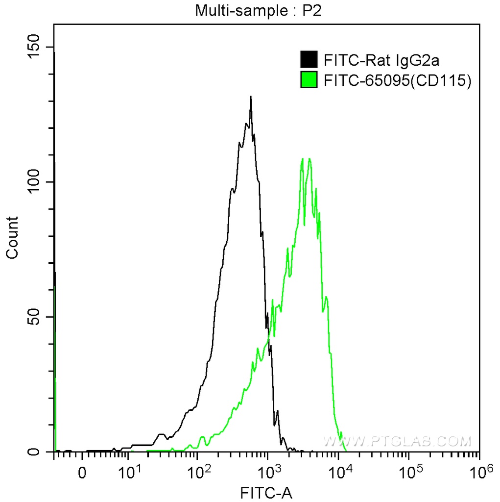 FITC Anti-Mouse CD115 (c-fms) (AFS98)