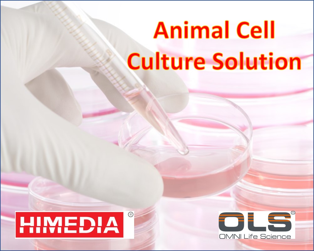 Iscove’s Modified Dulbecco’s Medium (IMDM) w/ L-Glutamine w/o HEPES buffer and Sodium bicarbonate