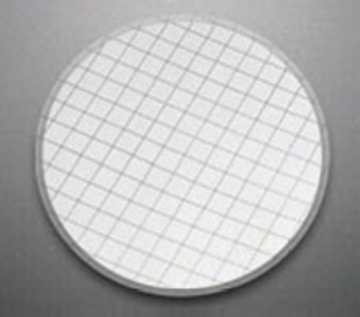 Gridded Cellulose  Nitrate Membrane, Sterile