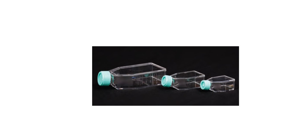 Tissue Culture Flask, treated, vented cap, 50 ml volume,surface 25,0 cm2 [TCG4]