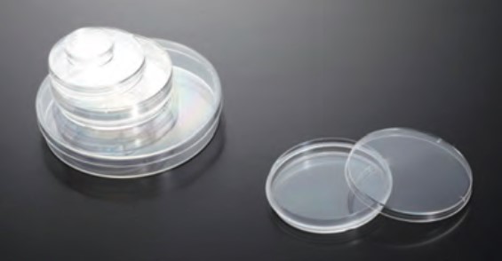Tissue Culture Flask, treated, closed cap, 850 ml volume,surface 300,0 cm2 [TCP218]