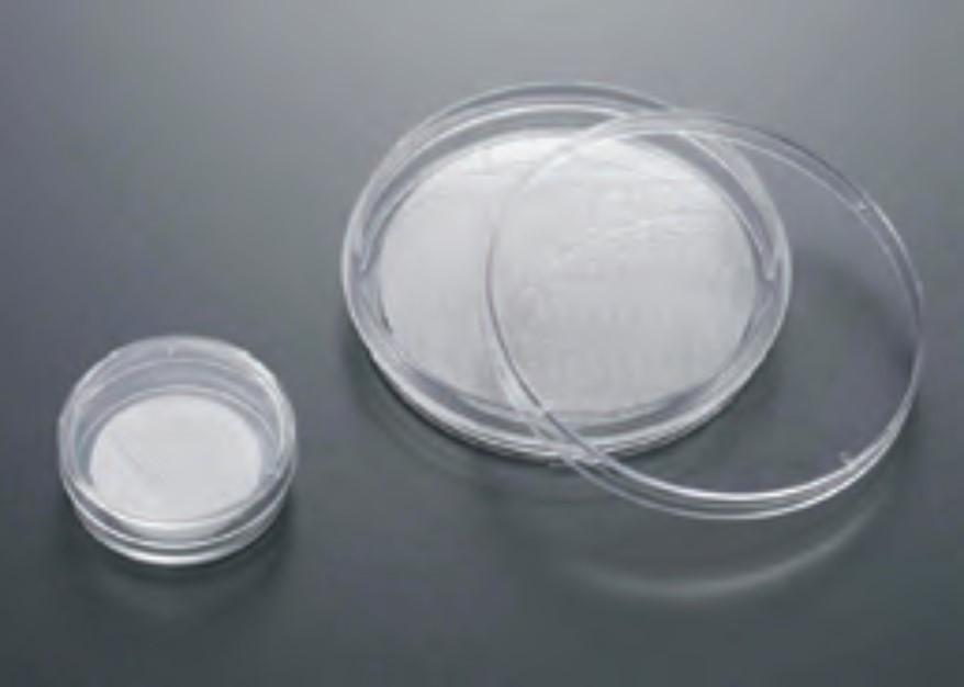 Cell Culture Scaffold, 60mm Dish