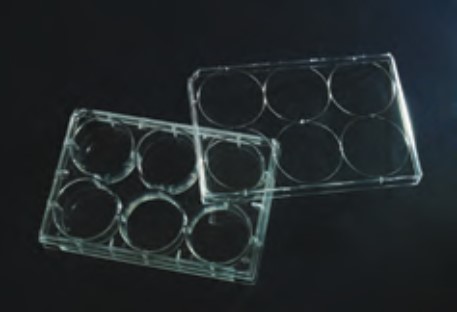 Tissue Culture Plates, Treated, 6 well, 9.5 cm2 surface, Packed in plastic / paper bag.
