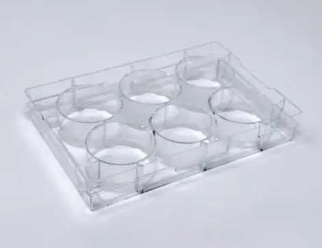 CEROplate 6 well plate (F-bottom), ultra- low attachment (24x1 plate)