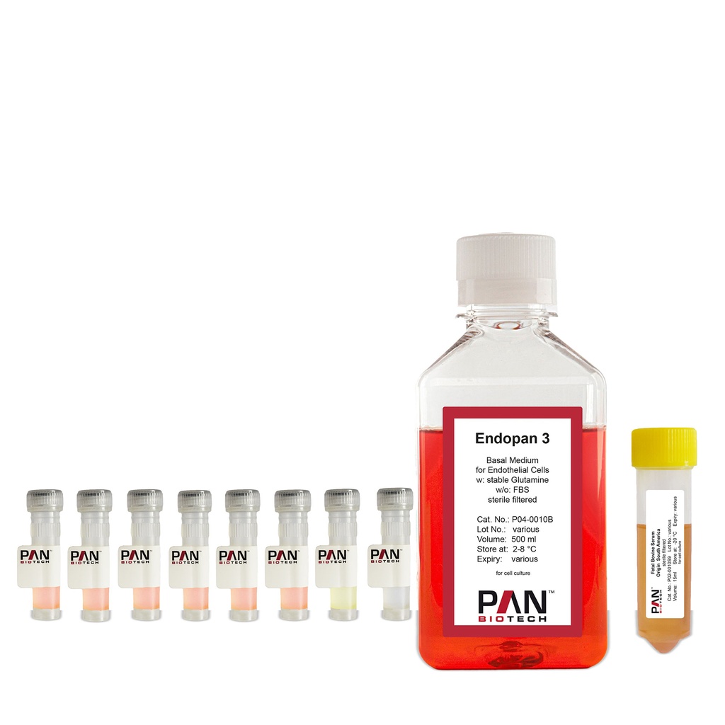 Endopan 3 Kit, 500 ml